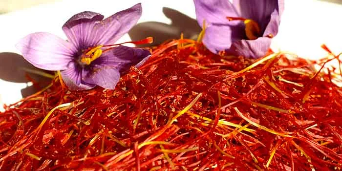Launching a contract for the sale of saffron until the end of the year,Quality and standard saffron,standard saffron,Iran Stock Exchange,Stock Exchange.