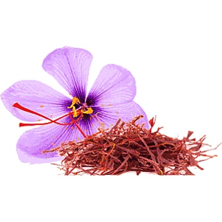 Prohibition of receiving the right to pay transaction fees on the Saffron Option Contract,The right to pay for transactions in the Saffron Option Contract,Prohibition of the contract for saffron,the contract for saffron,saffron