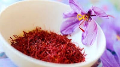 10 times the export and economy of saffron by changing the exchange rate,saffron farmers,saffron conference in Torbat Heydarieh,saffron conference in mashhad,saffron iran