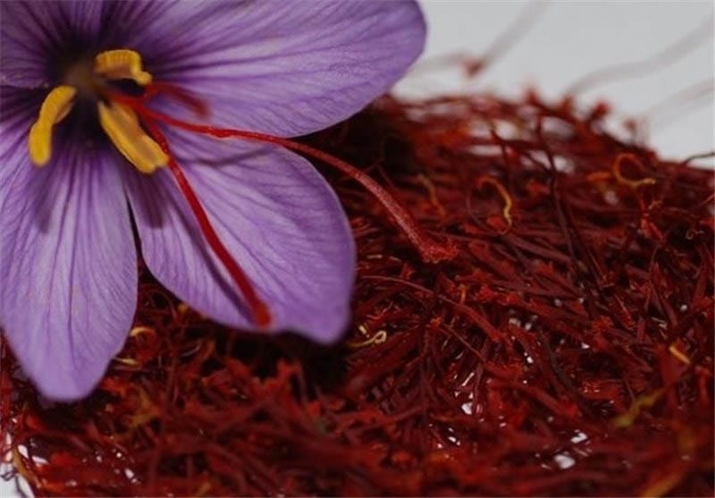 Sale of one kilogram of Iranian saffron in Turkey at 70,000 livres,Saffron production,Saffron Trading,largest saffron producer,The first saffron by Iranians
