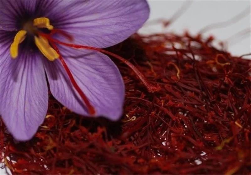 Sale of one kilogram of Iranian saffron in Turkey at 70000 lira,Saffron production,Saffron Trading,largest saffron producer,The first saffron by Iranians