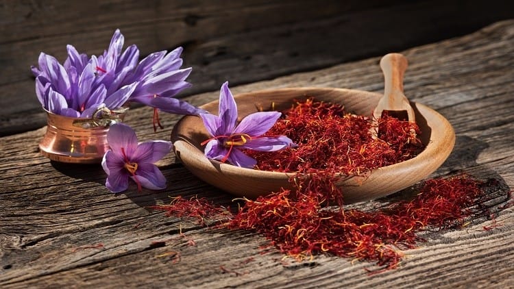Education of saffron cultivation in Maragheh in Iran,Maragheh in Iran,Education of saffron cultivation in Maragheh,Saffron cultivation in Maragheh in Iran,Saffron production,Greenhouse cultivation of saffron