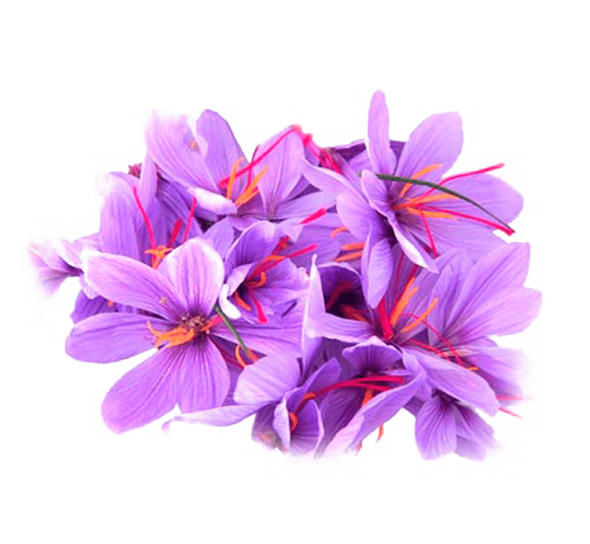 The saffron pricing authority is the right of Iran, saffron pricing,Saffron of the World in Iran, Futures of Saffron, Saffron Prices in the Future, Saffron Market, Saffron Prices in Iran, Iranian Crop Products