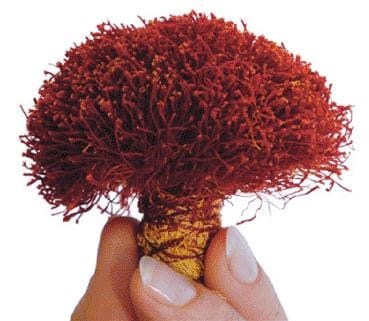 Projection of 5 tons of red gold in Bardaskan in Iran,Agricultural Jihad in Iran, Saffron, saffron yield, saffron harvest in Bardaskan, Khorasan Razavi, Bardaskan, harvesting season, dry saffron, modern irrigation systems in saffron