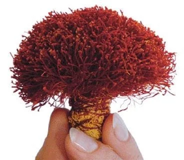 Projection of 5 tons of red gold in Bardaskan in Iran,Agricultural Jihad in Iran, Saffron, saffron yield, saffron harvest in Bardaskan, Khorasan Razavi, Bardaskan, harvesting season, dry saffron, modern irrigation systems in saffron