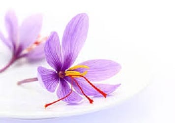 The stability of saffron in the market/export growth will continue in 1398,Saffron rates in the market, Saffron national council member in Iran, Saffron rates stability, saffron rates, saffron, luxury goods, saffron exports, export saffron, saffron saffron, saffron competition, saffron saffron, raw saffron