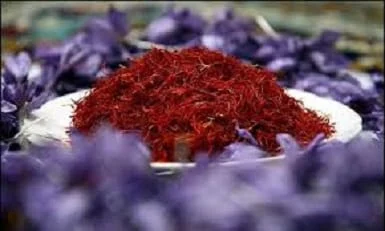 The Advantages of the Green Presence of Iranian Saffron in Silver Hall,Selling saffron on stock exchange, saffron prices, saffron trading, consumption of red gold, saffron deals, saffron cooperatives, saffron futures, Iranian saffron in the stock exchange, the producer of red gold in the world, Iran saffron prices, Iran saffron at the market level