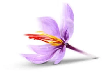 Does Saffron Export Boom?,Saffron National Council, Saffron Producer, Saffron in South Khorasan, Saffron Market, Saffron Precious Reference, Iranian Saffron
