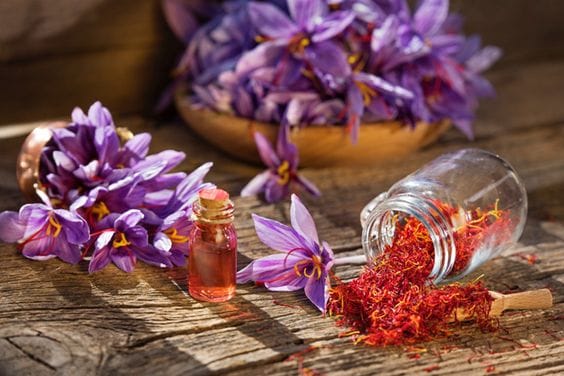 9 hectares of Meybod farms went under saffron cultivation, saffron in the economy, Meybod agricultural jihad, saffron, Meybod saffron, Meybod farms,saffron cultivation