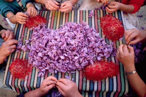 Launching a future saffron contract with a new maturity, saffron futures contract, daily price of saffron, Negin saffron, Commodity Exchange, saffron, excellent cut strings,Saffron futures