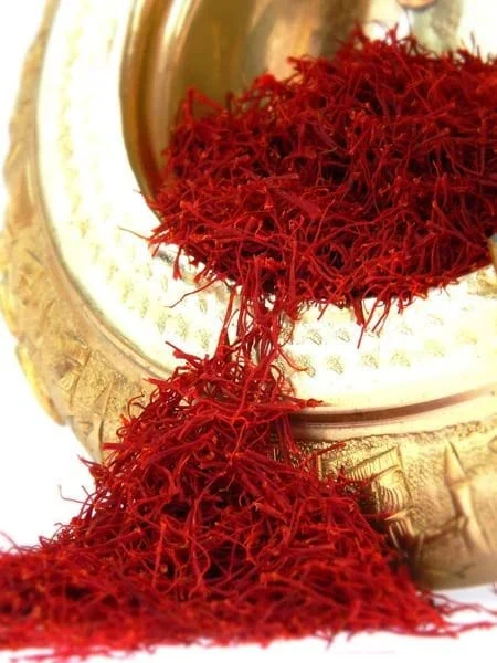 Purchase of 765 tons of saffron from farmers in North Khorasan , Purchasing saffron from farmers in North Khorasan, Harvesting saffron from farmers in North Khorasan