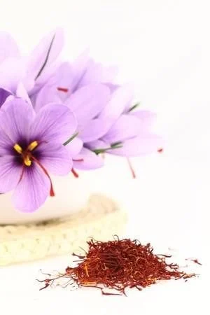 Prediction of 1600 kg of saffron harvest in Natanz city,Prediction of saffron harvest in Natanz city, Saffron harvest in Natanz,Buying saffron, harvesting saffron in Natanz city,Cultivation of saffron in Natanz city, economic prosperity in saffron,Medicinal plants, saffron produced in Iran
