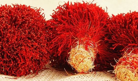 Saffron prices are not fair - the problem of export without a brand , Saffron price is not fair, export problem without brand, fair saffron price, export problem, saffron price, fair saffron, brand export muscle, saffron cultivation, saffron harvest