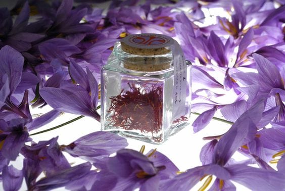 Saffron is the only medicinal plant for $ 350 million , Saffron only medicinal plant 350 million, saffron harvest, saffron cultivation, economic prosperity in saffron, medicinal plants
