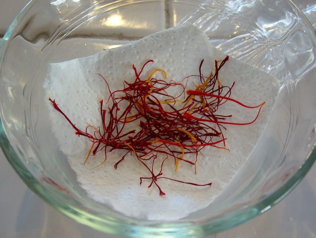 The maximum price per kilo of red gold is 10 million tomans , Maximum price per kilo of red gold, Saffron harvest, Saffron cultivation, Economic prosperity in saffron, Medicinal plants, Maximum price of red gold, Maximum price per kilo of saffron, Maximum price of saffron
