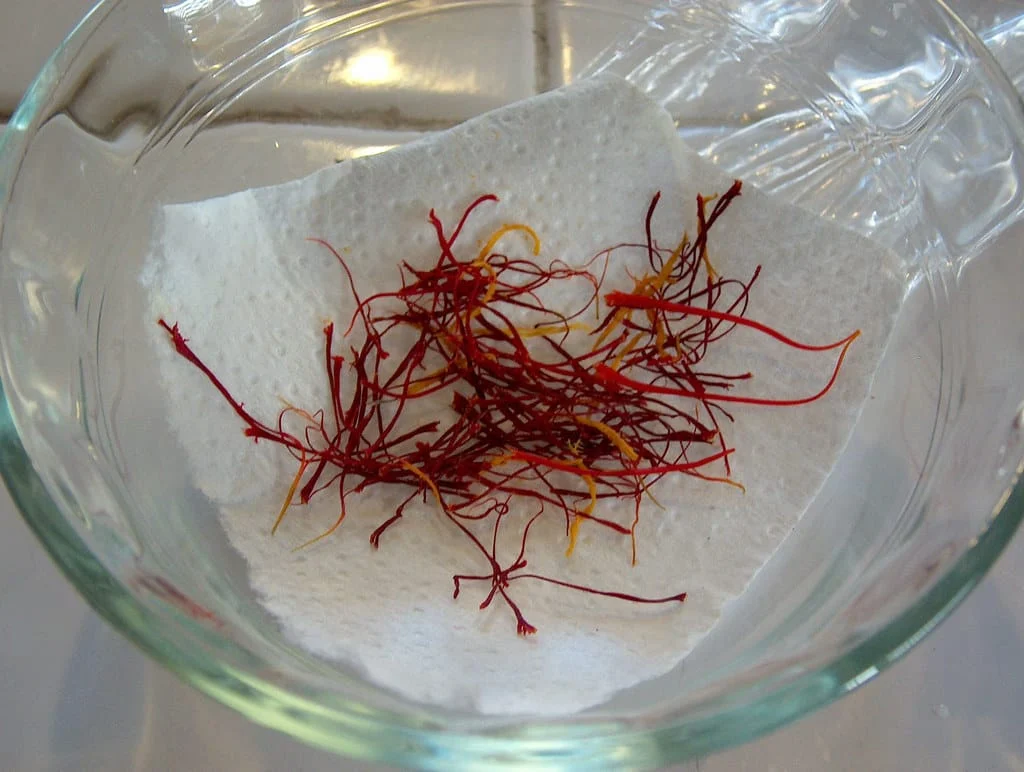 The maximum price per kilo of red gold is 10 million tomans , Maximum price per kilo of red gold, Saffron harvest, Saffron cultivation, Economic prosperity in saffron, Medicinal plants, Maximum price of red gold, Maximum price per kilo of saffron, Maximum price of saffron