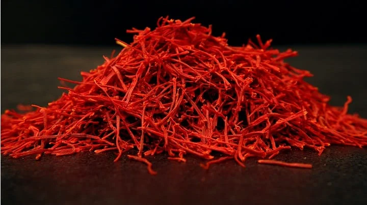 Cultivation of red gold (saffron) from Qazvin to Lebanon , Cultivation of red gold from Qazvin to Lebanon, Cultivation of saffron from Qazvin to Lebanon, Saffron harvest, Cultivation of saffron, Economic prosperity in saffron, Medicinal plants, Cultivation of red gold, Cultivation of saffron from Iran to Lebanon