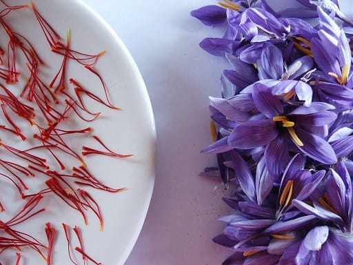 The people of Hamedan cook jam from saffron petals , Hamedanis cook jam from red gold petals, saffron harvest, saffron cultivation, economic prosperity in saffron, medicinal plants, red gold petal jam, saffron petal jam, Persian saffron