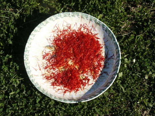 Reducing the consumption of saffron in Iran , Domestic consumption of saffron, Saffron export, Saffron price, Saffron harvest, Saffron cultivation, Economic prosperity in saffron, Medicinal plants, Saffron export, Iranian saffron, Domestic consumption of saffron in Iran