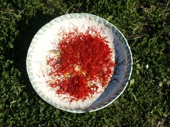 Reducing the consumption of saffron in Iran , Domestic consumption of saffron, Saffron export, Saffron price, Saffron harvest, Saffron cultivation, Economic prosperity in saffron, Medicinal plants, Saffron export, Iranian saffron, Domestic consumption of saffron in Iran