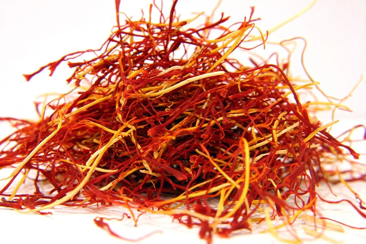 Kerman ranks fourth in saffron cultivation in Iran , Iranian saffron, saffron harvest, saffron cultivation, economic prosperity in saffron, medicinal plants, Kerman saffron harvest, saffron harvest from farms in Kerman