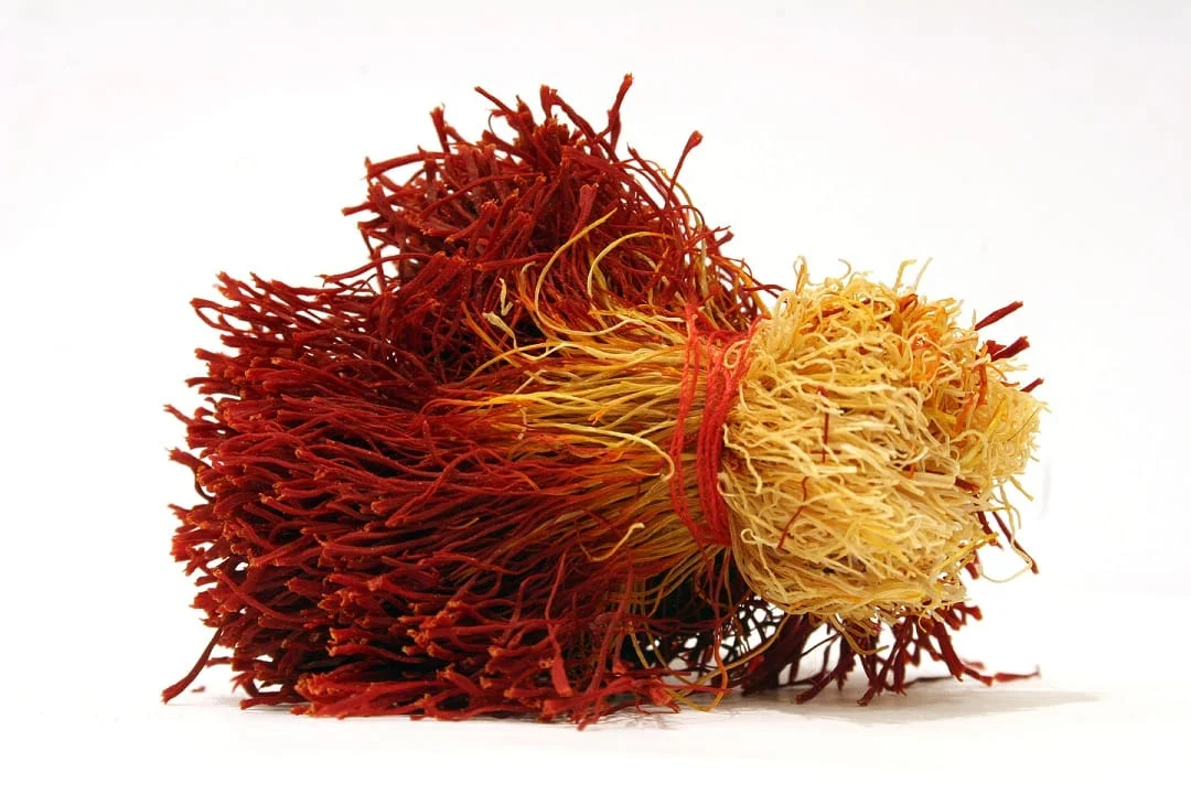 Production of 1700 kg of saffron in Kermanshah province , Iranian saffron, saffron harvest, saffron cultivation, economic prosperity in saffron, medicinal plants, Kermanshah saffron harvest, saffron harvest from farms in Kermanshah province, saffron export, Iranian saffron export