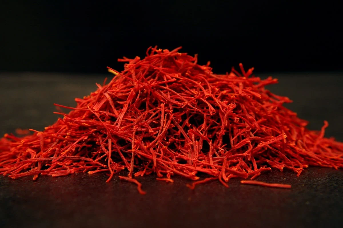 750 kg of saffron is produced annually in Marand city , Iranian saffron, saffron harvest, saffron cultivation, economic prosperity in saffron, medicinal plants, Marand saffron harvest, saffron harvest from farms in Marand, saffron export, Iranian saffron export