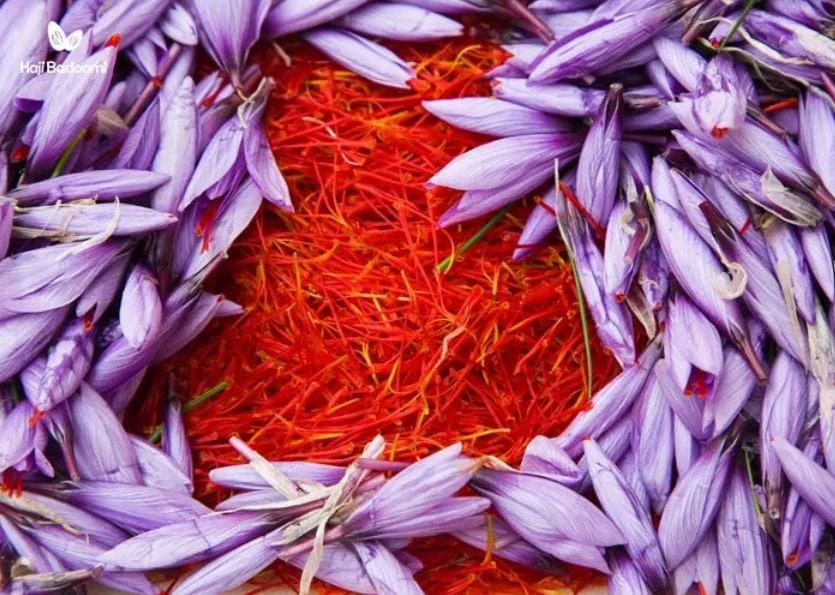 Saffron for Alzheimer's
