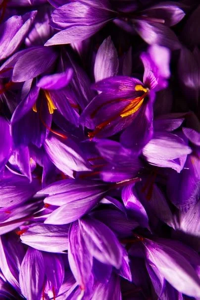 Barriers to Saffron Exports