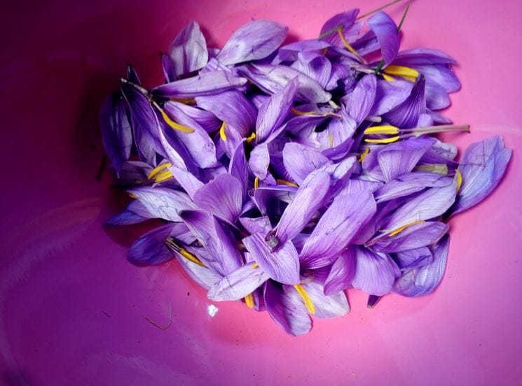 Original Saffron Buying Guide