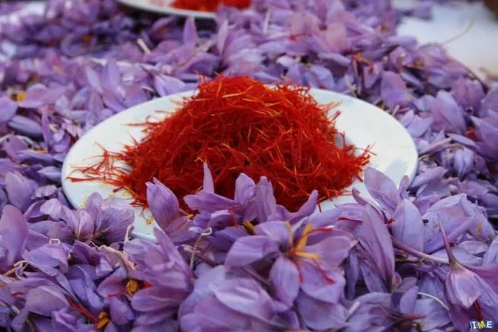 Saffron and Alzheimer Management