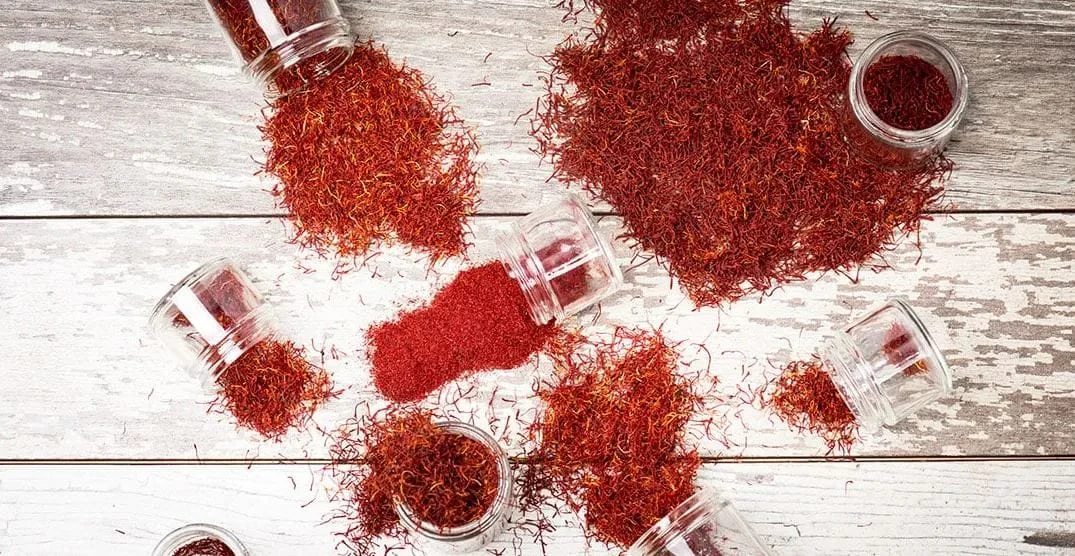 Saffron Farming Income Potential