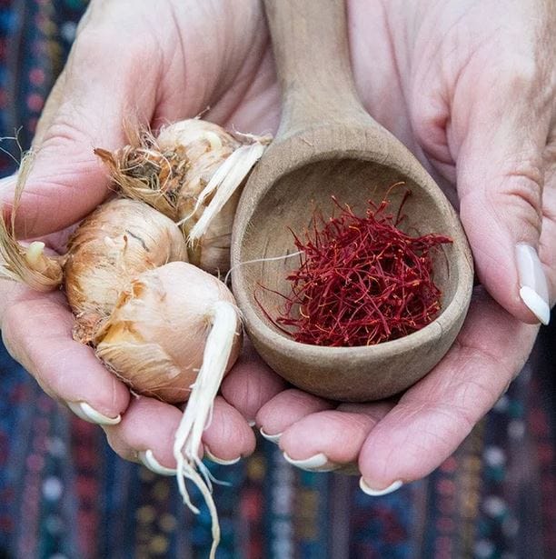 Challenges in Iranian Saffron Production