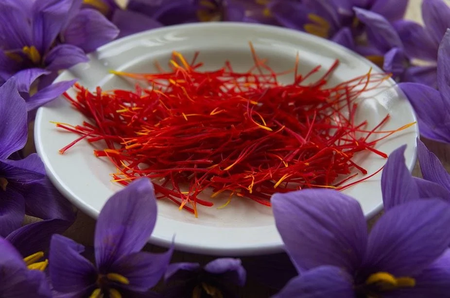 Saffron Production Trends