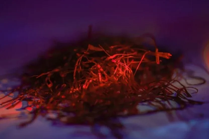 saffron health benefits