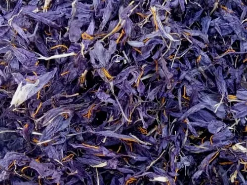 Buy saffron petals online – dried saffron flower petals from Iran