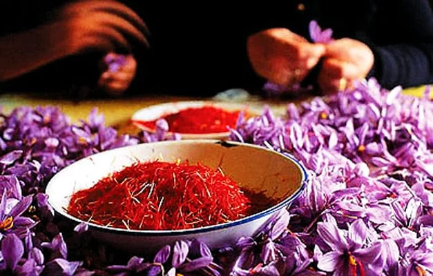 saffron luxury