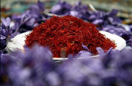 Saffron brain health benefits