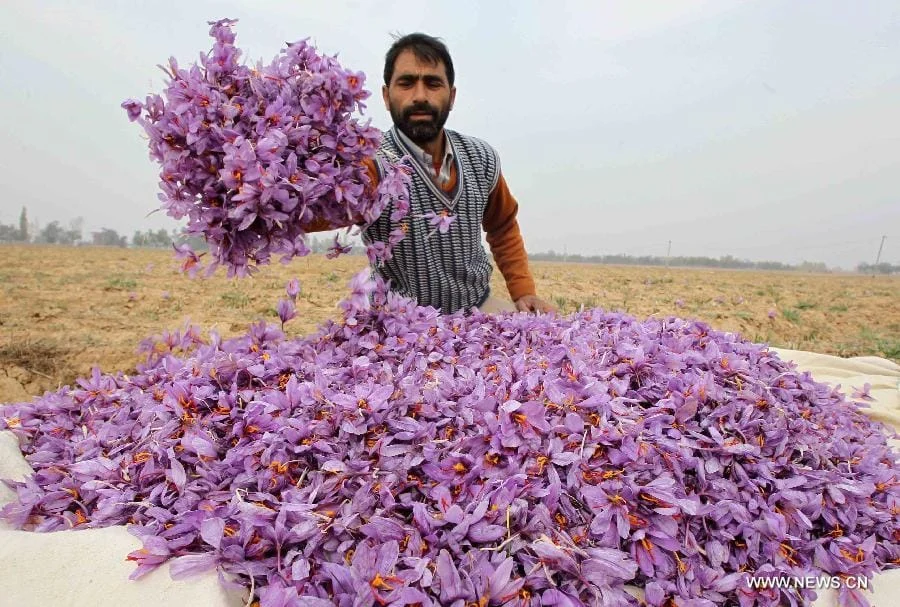 How soon does saffron work