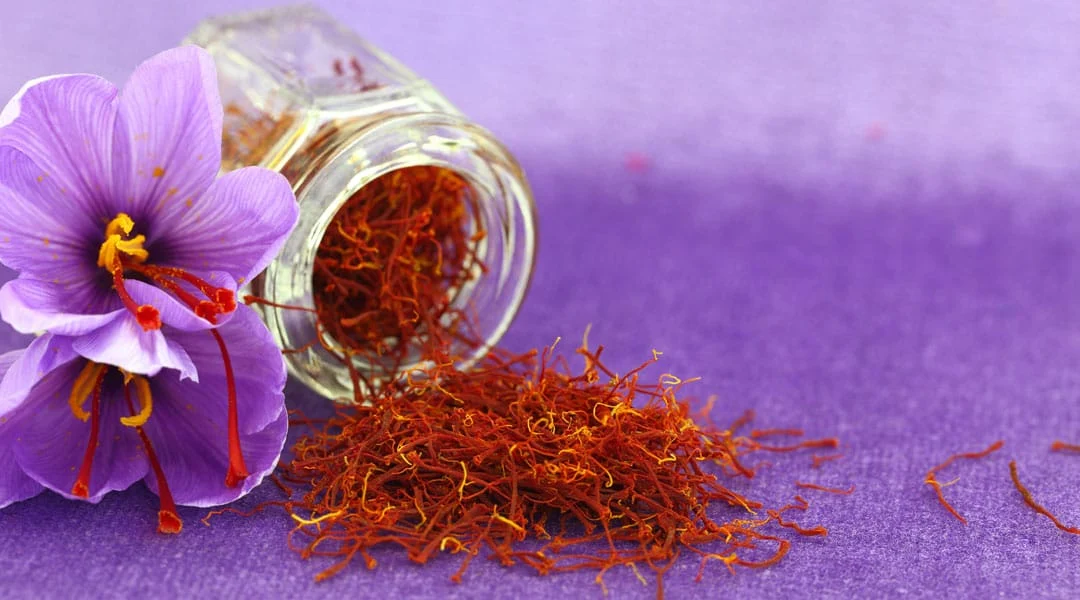 Saffron yield per flower
