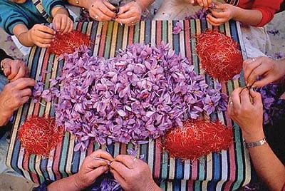 Top saffron-consuming countries
