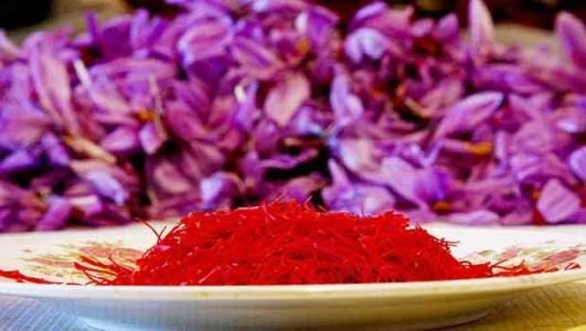 Fake saffron identification