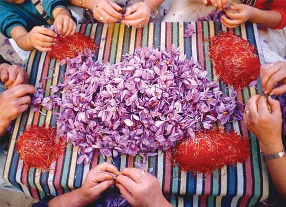Saffron tea recipe