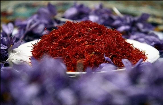 Real vs fake saffron