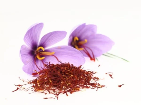 Saffron daily consumption safety