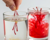 identifying real saffron