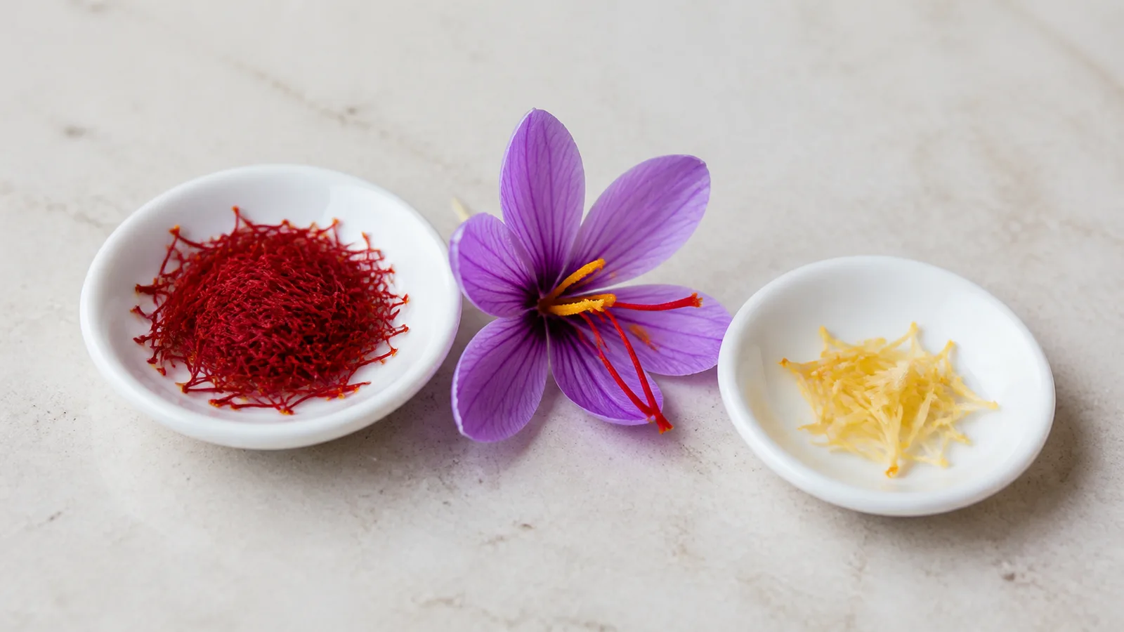 Red saffron stigmas and pale style beside a saffron crocus flower